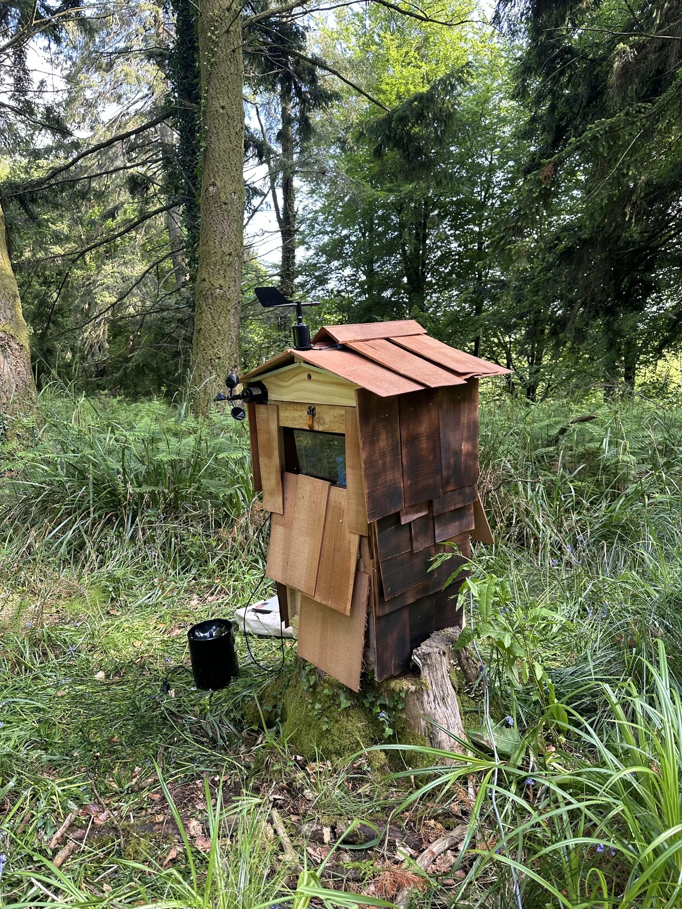 A timber field-sensing node installed in woodland at Hooke Park.